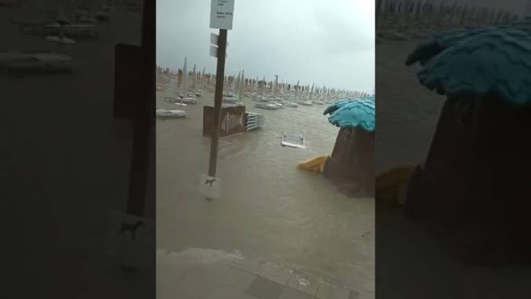 Rimini, il maltempo e l'ironia del bagnino: Il pesce della reception sta tornando in mare VIDEO Rimini, il maltempo e l'ironia del bagnino: Il pesce della reception sta tornando in mare VIDEO