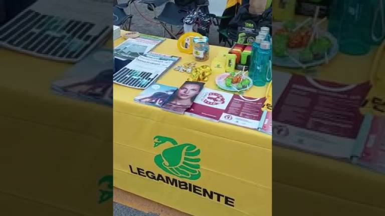 Cesenatico, in novembre spunta l'anguria di Halloween: Non è caldo, è cambiamento climatico VIDEO Cesenatico, in novembre spunta l'anguria di Halloween: Non è caldo, è cambiamento climatico VIDEO