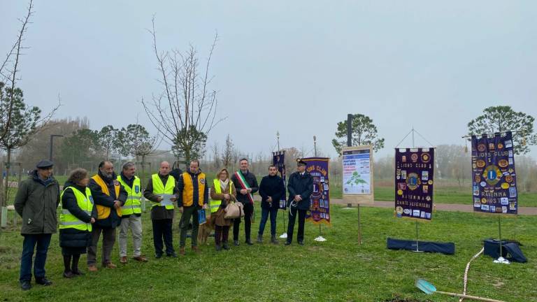 Ravenna, ecco 8 nuovi alberi grazie al Lions Ravenna, ecco 8 nuovi alberi grazie al Lions