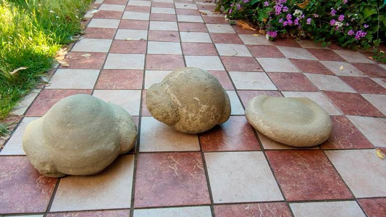 Predappio, ritrovati possibili reperti archeologici Predappio, ritrovati possibili reperti archeologici