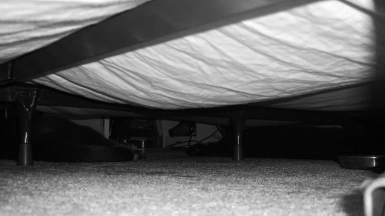 Imola, va sotto il letto per evitare l'arresto ma la Polizia lo trova lo stesso Imola, va sotto il letto per evitare l'arresto ma la Polizia lo trova lo stesso