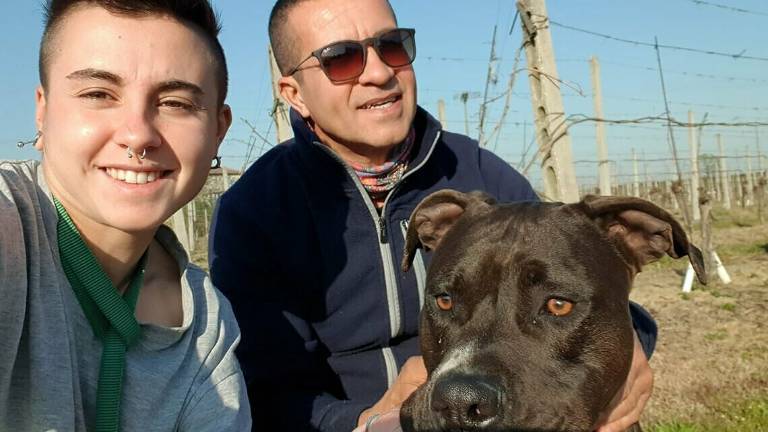 Insulti sul web dopo l'omicidio di Ilenia: la figlia querela Insulti sul web dopo l'omicidio di Ilenia: la figlia querela