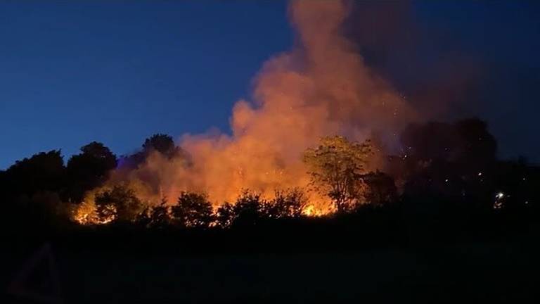 Un incendio nei boschi sta devastando la collina in zona Ponte Uso Un incendio nei boschi sta devastando la collina in zona Ponte Uso