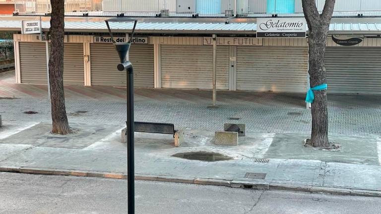 Esposti in procura per i pini di Lido di Savio: «Alberi danneggiati dalle prove di trazione» Esposti in procura per i pini di Lido di Savio: «Alberi danneggiati dalle prove di trazione»
