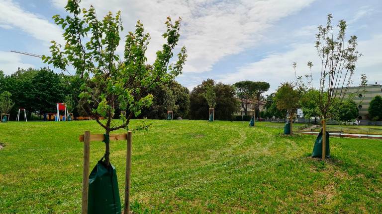 Santarcangelo, parco Spina: prosegue la riqualificazione Santarcangelo, parco Spina: prosegue la riqualificazione