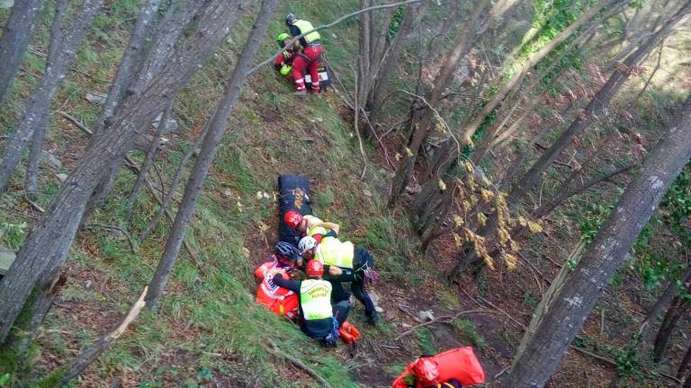 Artista trovato morto da alcuni escursionisti nel Parco delle Foreste Casentinesi Artista trovato morto da alcuni escursionisti nel Parco delle Foreste Casentinesi