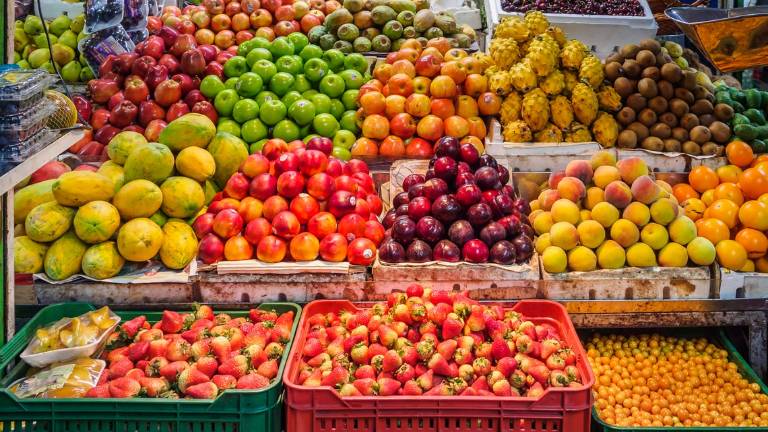Rimini, Coldiretti al Macfrut: Export ortofrutta, un record da 5,6 miliardi Rimini, Coldiretti al Macfrut: Export ortofrutta, un record da 5,6 miliardi