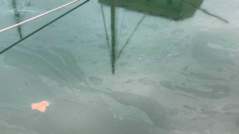 Cesenatico, perdita di gasolio in darsena colpisce anche il porto canale - VIDEO Cesenatico, perdita di gasolio in darsena colpisce anche il porto canale - VIDEO