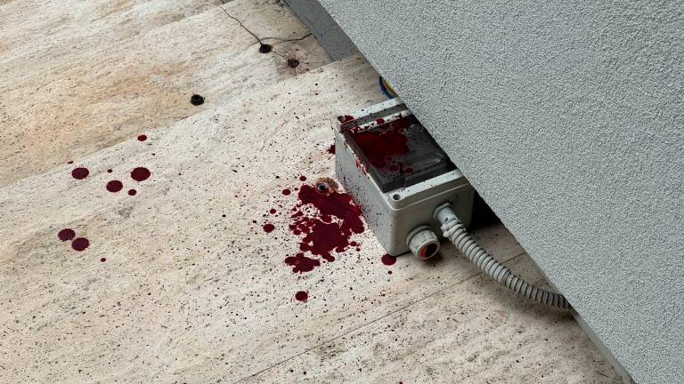 Il sangue sulle scale del condominio Il sangue sulle scale del condominio