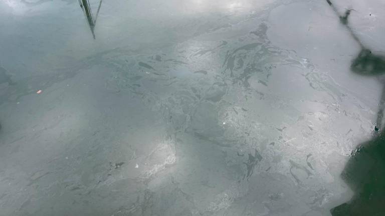 Cesenatico, perdita di gasolio in darsena colpisce anche il porto canale - VIDEO Cesenatico, perdita di gasolio in darsena colpisce anche il porto canale - VIDEO