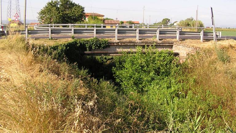 Casemurate, il nuovo ponte sul Bevano entro la primavera 2023 Casemurate, il nuovo ponte sul Bevano entro la primavera 2023