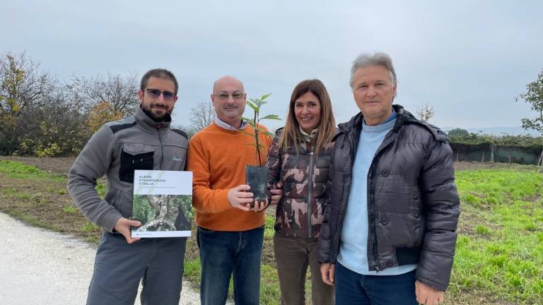 Forlì, a Magliano inaugura il Boschetto dei Patriarchi Forlì, a Magliano inaugura il Boschetto dei Patriarchi