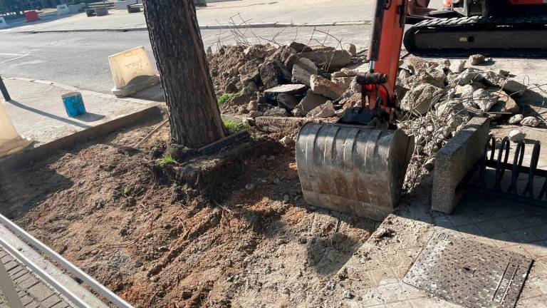 Le ruspe che hanno demolito le aiuole prima delle prove di trazione Le ruspe che hanno demolito le aiuole prima delle prove di trazione