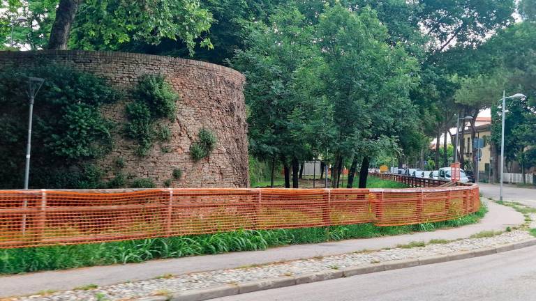 Faenza e le piste ciclabili: avanza il cantiere in via Lapi Faenza e le piste ciclabili: avanza il cantiere in via Lapi