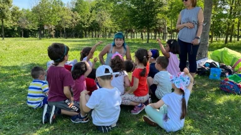 Cesena, al parco ippodromo una mattinata dedicata alle api Cesena, al parco ippodromo una mattinata dedicata alle api