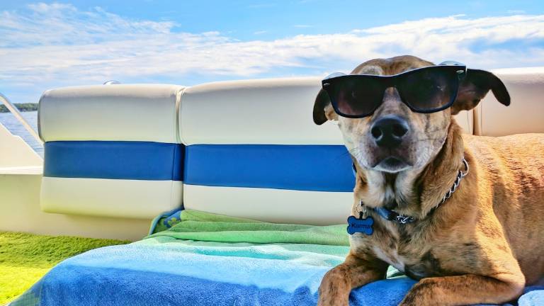 Meteo Romagna: ultimi giorni di gran caldo, lunedì brusco calo delle temperature Meteo Romagna: ultimi giorni di gran caldo, lunedì brusco calo delle temperature