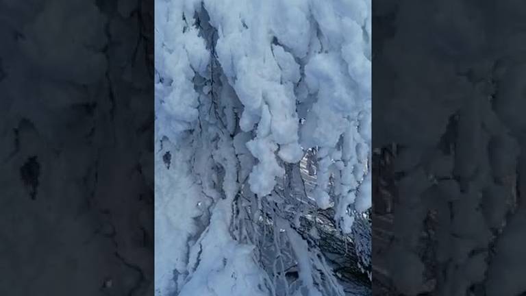 Neve e cielo azzurro: scenario magico sul Monte Fumaiolo VIDEO Neve e cielo azzurro: scenario magico sul Monte Fumaiolo VIDEO