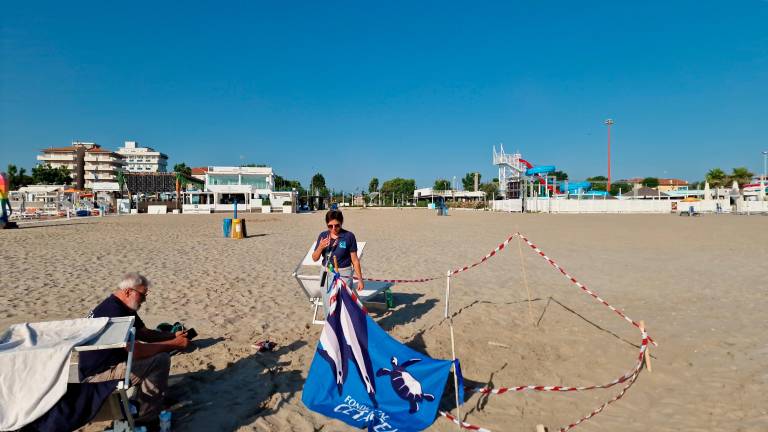 Riccione, nido tartarughe, si cercano volontari per controllarlo 24 ore su 24 GALLERY Riccione, nido tartarughe, si cercano volontari per controllarlo 24 ore su 24 GALLERY