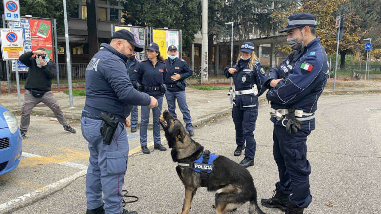 Cesena, controlli con i cani antidroga attorno alle scuole Cesena, controlli con i cani antidroga attorno alle scuole