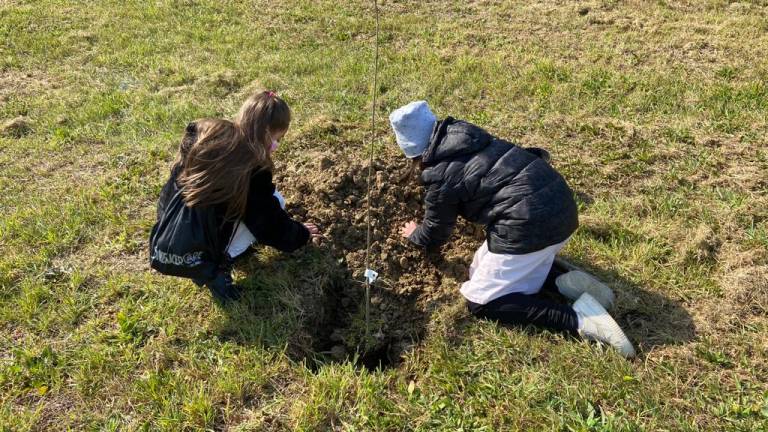 Un fiocco verde per ogni nuova nascita: la Regione a fianco dei Comuni Un fiocco verde per ogni nuova nascita: la Regione a fianco dei Comuni