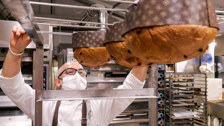 Panettoni lievitati in Romagna, la tradizione non è immobile Panettoni lievitati in Romagna, la tradizione non è immobile