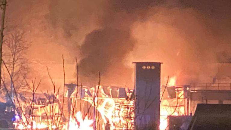 Incendio a Cesena: a fuoco la Campomaggi Caterina Lucchi - I VIDEO Incendio a Cesena: a fuoco la Campomaggi Caterina Lucchi - I VIDEO