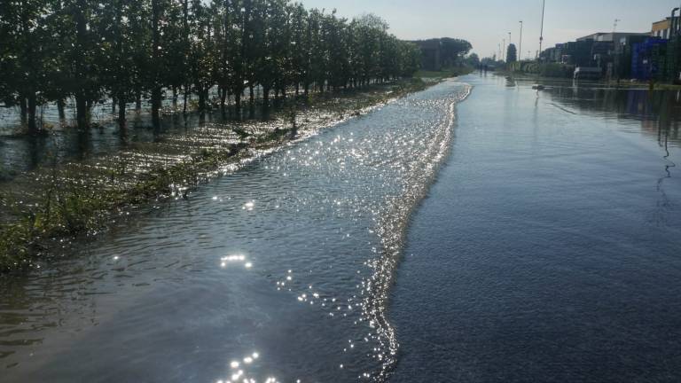 Maltempo Ravenna, per i canali allagati chiusa di nuovo l'Adriatica ad Alfonsine e Lugo Maltempo Ravenna, per i canali allagati chiusa di nuovo l'Adriatica ad Alfonsine e Lugo