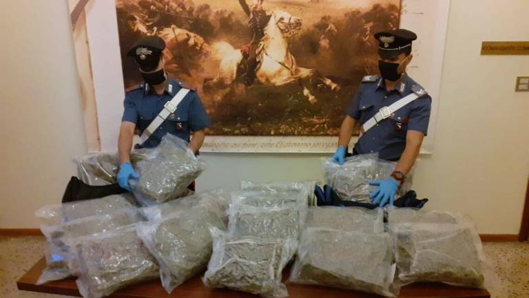 Carabinieri trovano 21 chili di marijuana su un'auto in sosta Carabinieri trovano 21 chili di marijuana su un'auto in sosta