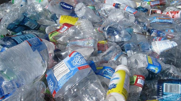 Ricircola: un progetto dell'Università di Bologna per ridurre l'impatto della plastica Ricircola: un progetto dell'Università di Bologna per ridurre l'impatto della plastica