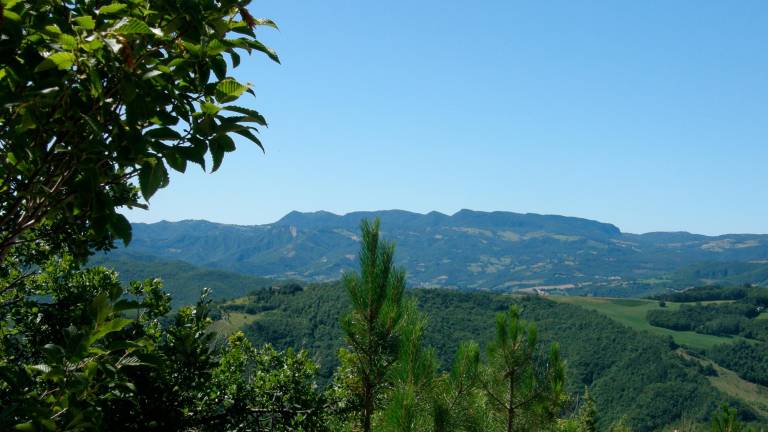 Meteo in Romagna, lunedì allerta gialla per vento sull’Appennino Meteo in Romagna, lunedì allerta gialla per vento sull’Appennino