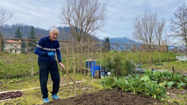 Cesena, alla ricerca degli orti migliori: domani mattina le premiazioni Cesena, alla ricerca degli orti migliori: domani mattina le premiazioni