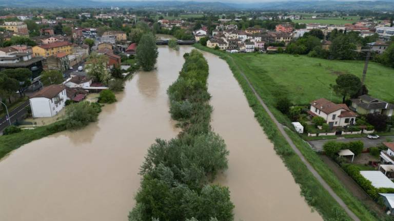 Forlì. Fiume Montone in piena, livello sopra i 9 metri FOTOGALLERY Forlì. Fiume Montone in piena, livello sopra i 9 metri FOTOGALLERY