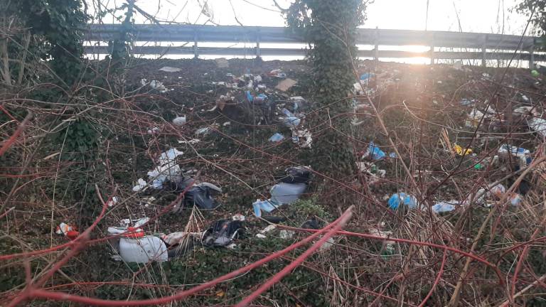 Gli argini della Secante di Cesena sono una discarica a cielo aperto Gli argini della Secante di Cesena sono una discarica a cielo aperto