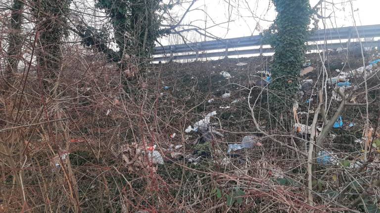 Gli argini della Secante di Cesena sono una discarica a cielo aperto Gli argini della Secante di Cesena sono una discarica a cielo aperto