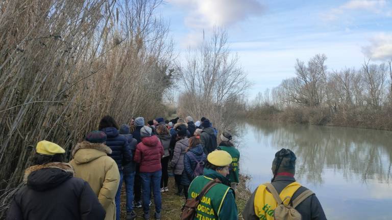Ravenna, oltre 170 persone alla Giornata Mondiale delle zone umide - Gallery Ravenna, oltre 170 persone alla Giornata Mondiale delle zone umide - Gallery