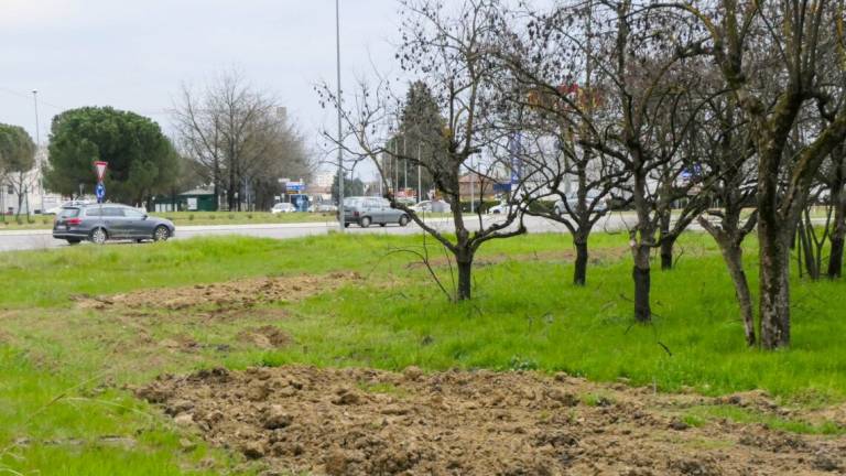 Si accelera per la ciclabile Pontesanto-Ortignola Si accelera per la ciclabile Pontesanto-Ortignola