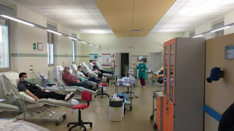 Avis Imola, aumentano donatori e donazioni Avis Imola, aumentano donatori e donazioni