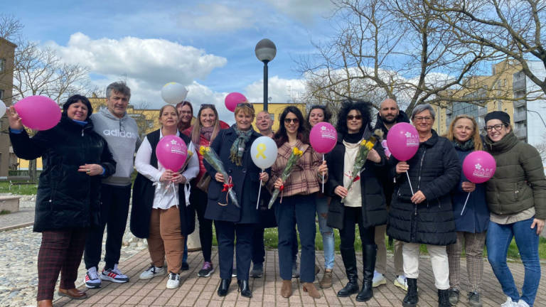 Lotta all'endometriosi: Ravenna prima in Italia nella campagna Vetrine consapevoli Lotta all'endometriosi: Ravenna prima in Italia nella campagna Vetrine consapevoli