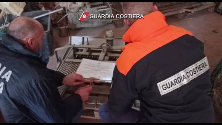 Ravenna, pesca abusiva: sequestrati 300 chili di vongole e lupini VIDEO Ravenna, pesca abusiva: sequestrati 300 chili di vongole e lupini VIDEO