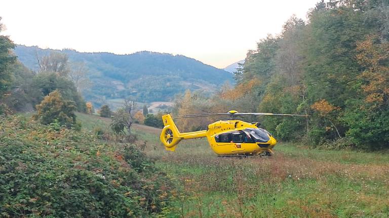 Precipita in un calanco a Bagno di Romagna mentre stava cercando castagne: maxi soccorso per salvare una donna di Forlimpopoli VIDEOGALLERY Precipita in un calanco a Bagno di Romagna mentre stava cercando castagne: maxi soccorso per salvare una donna di Forlimpopoli VIDEOGALLERY