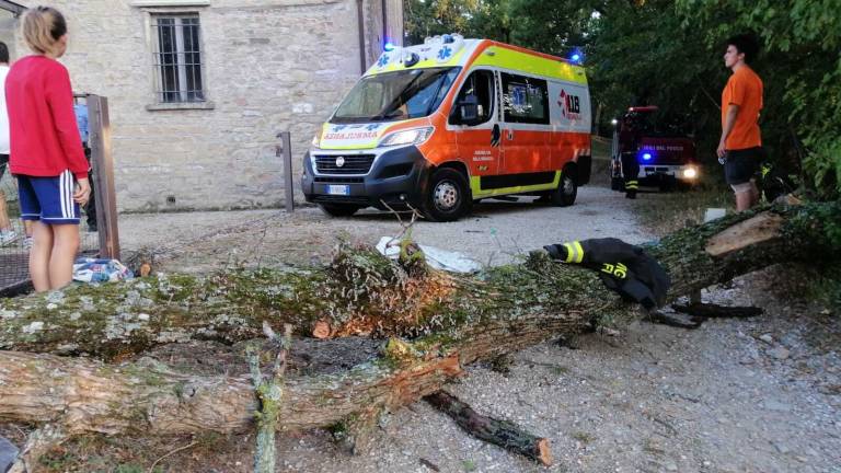 Albero cade su scout a Tredozio, feriti due giovani Albero cade su scout a Tredozio, feriti due giovani