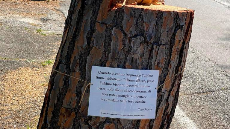 Cesena, lungo la via Mascagni sono comparse 23 poesie per chiedere di piantare nuovi alberi Cesena, lungo la via Mascagni sono comparse 23 poesie per chiedere di piantare nuovi alberi