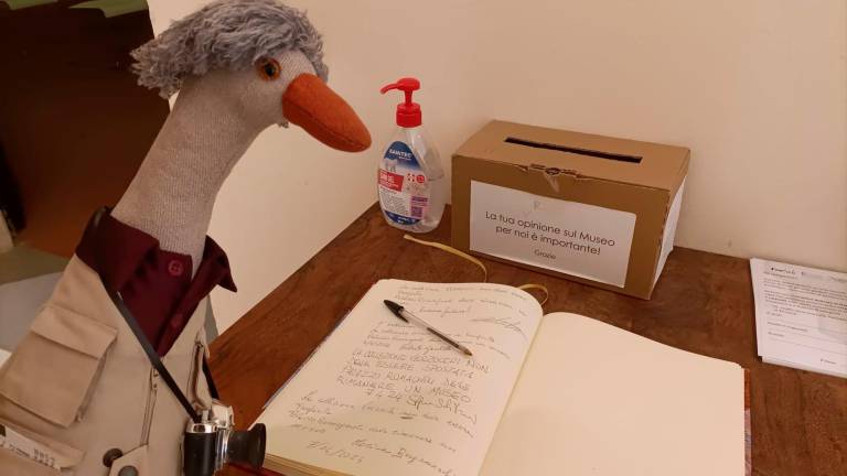 Forlì. Collezione Verzocchi, la protesta contro lo spostamento si sposta sul libro degli ospiti di palazzo Romagnoli Forlì. Collezione Verzocchi, la protesta contro lo spostamento si sposta sul libro degli ospiti di palazzo Romagnoli