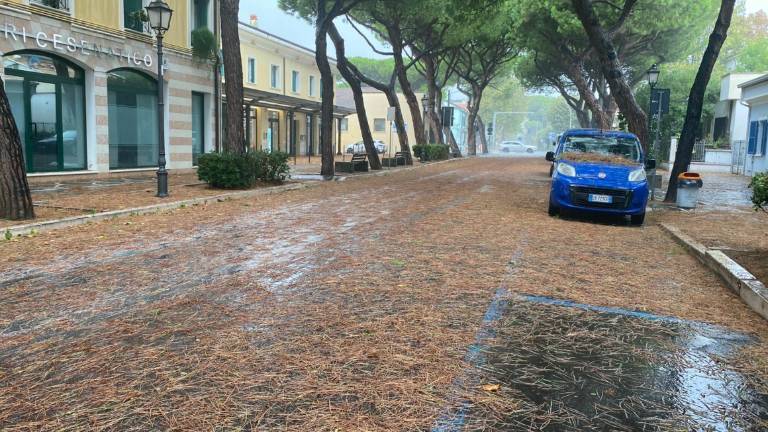 Cesenatico, danni da maltempo: come chiedere un contributo Cesenatico, danni da maltempo: come chiedere un contributo