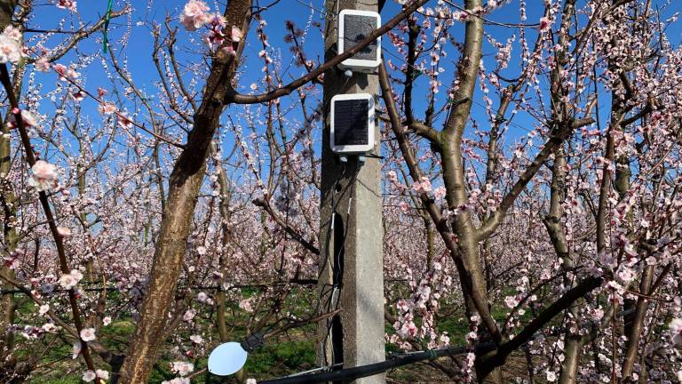Sensori e intelligenza artificiale, ecco in Romagna l’agricoltura del futuro Sensori e intelligenza artificiale, ecco in Romagna l’agricoltura del futuro