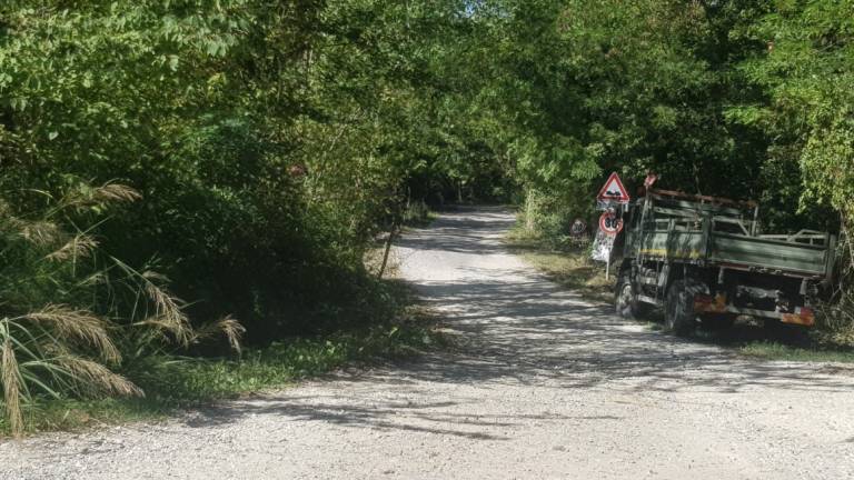 Predappio, via ai lavori di manutenzione della Regione Predappio, via ai lavori di manutenzione della Regione