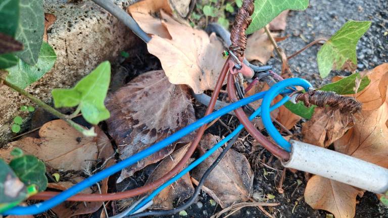 Forlì. “Fili elettrici tra le lapidi e incuria al cimitero” - GALLERY Forlì. “Fili elettrici tra le lapidi e incuria al cimitero” - GALLERY
