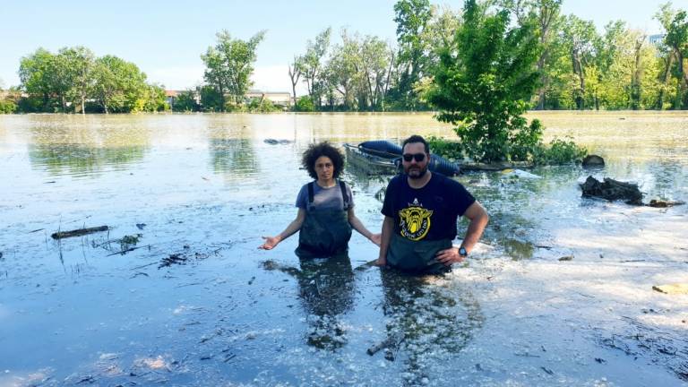 Alluvione, raccolta fondi per le famiglie della Bassa Romagna: ecco come donare Alluvione, raccolta fondi per le famiglie della Bassa Romagna: ecco come donare