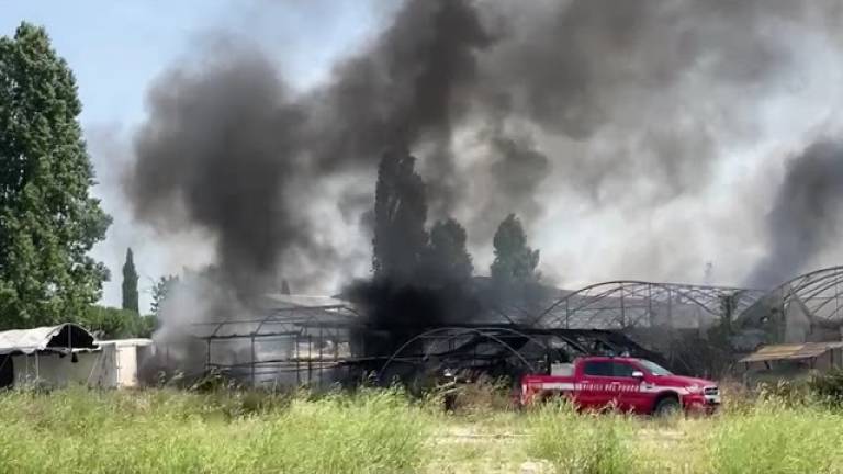 Cesena, incendio in un vivaio in via Calcinaro VIDEO Cesena, incendio in un vivaio in via Calcinaro VIDEO