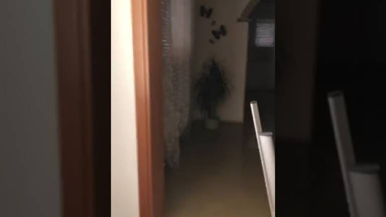 L'acqua è alta come i piedi del divano: dentro una casa allagata a Villanova di Bagnacavallo VIDEO L'acqua è alta come i piedi del divano: dentro una casa allagata a Villanova di Bagnacavallo VIDEO